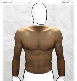 Torso