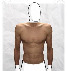 Torso