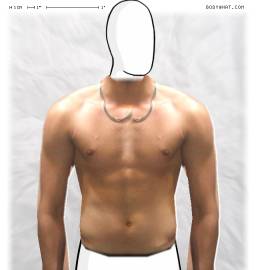Torso
