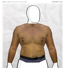 Torso