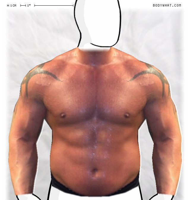 Picture 1