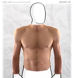 Torso